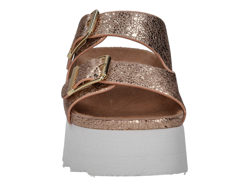 Colors Of California Tongues Rose