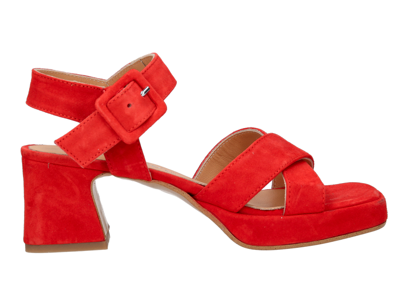 Debutto Donna Sandals Rose