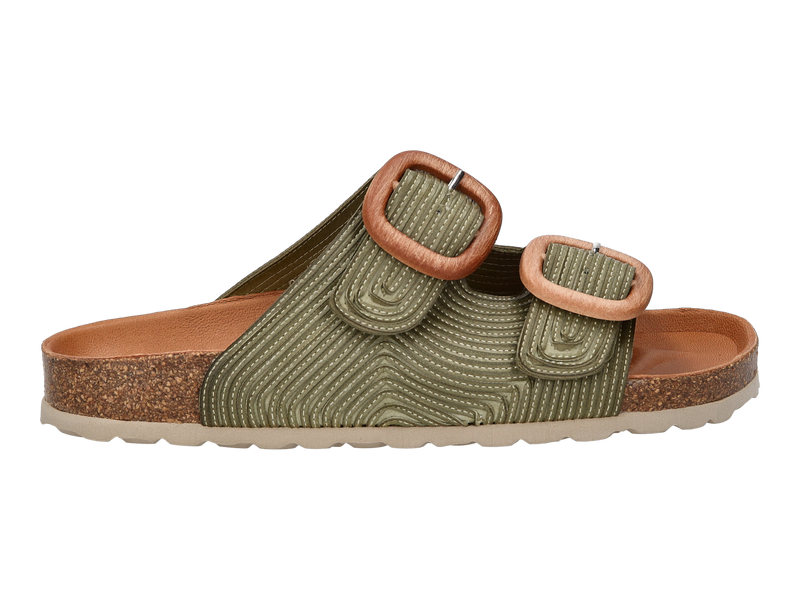 Verbenas Tongues Kaki