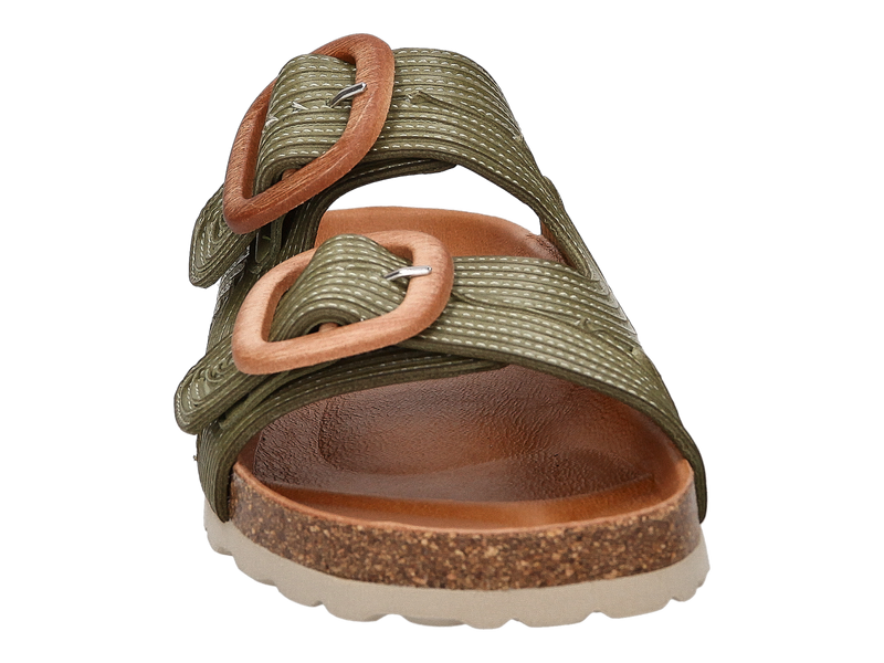 Verbenas Tongues Kaki