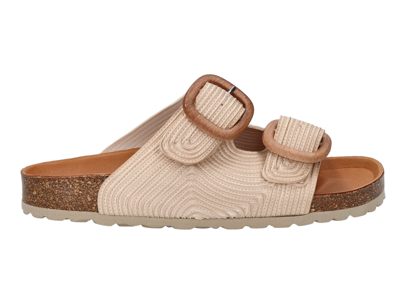 Verbenas Tongues Beige