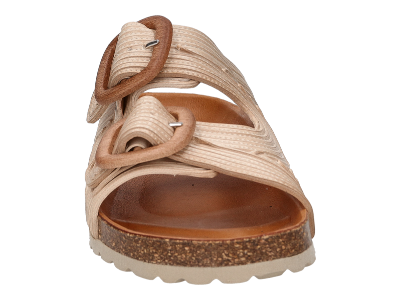 Verbenas Tongues Beige