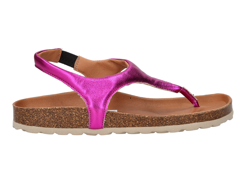 Verbenas Sandales Rose