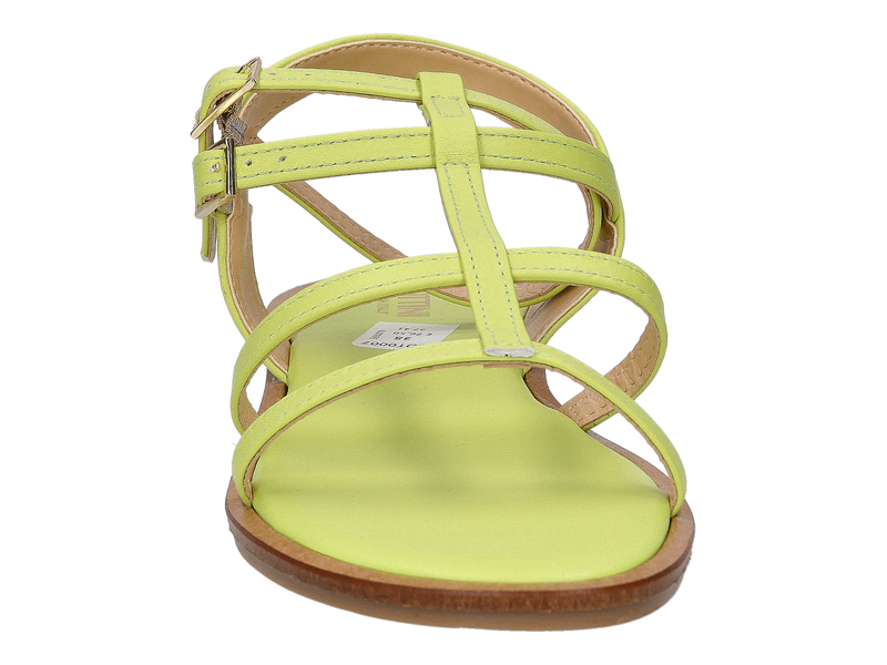 Lottini Sandals Green