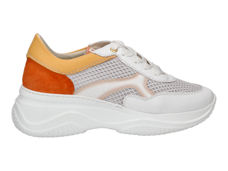 Dlsport Baskets Blanc