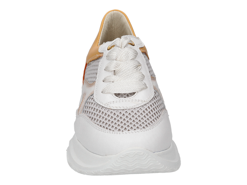 Dlsport Baskets Blanc