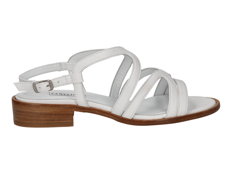 Cervone Sandals White