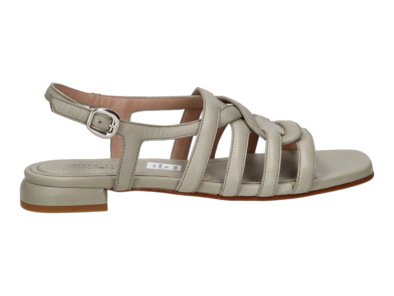 Triver Flight Sandalen Groen