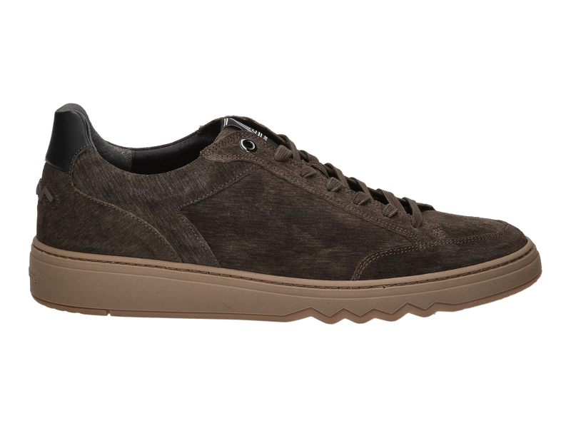 Floris Van Bommel Sneakers Brown