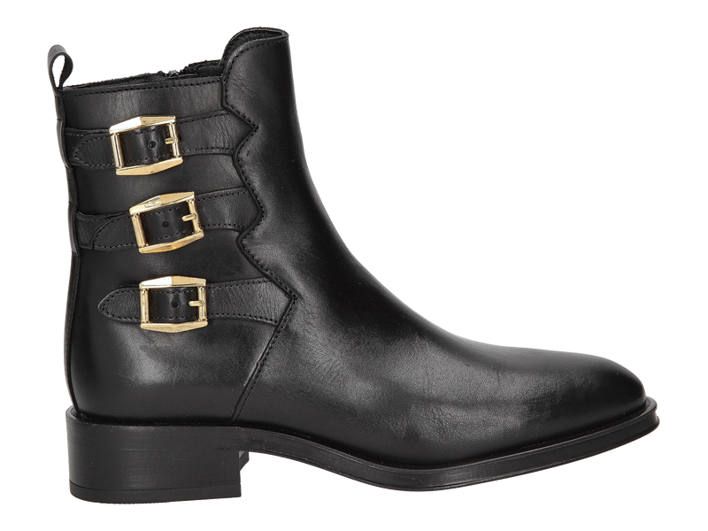 Voir le produit 'Alpe Bottines Noir' (en anglais) Alpe Bottines Noir