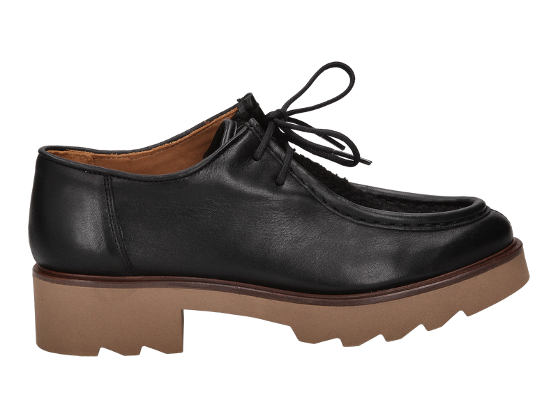 Ctwlk Lace Shoes Black