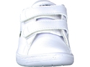 Lacoste chaussures à velcro blanc