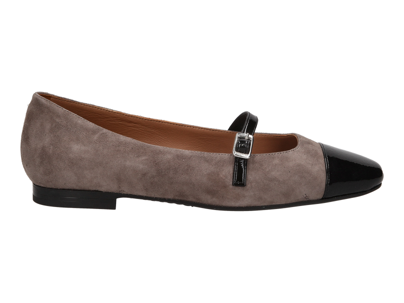 Frau Ballerines Gris