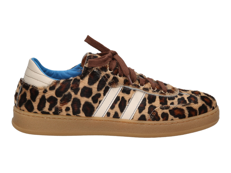 Romagnoli Baskets Brun