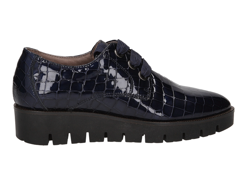 Dlsport Chaussures à Lacets Bleu