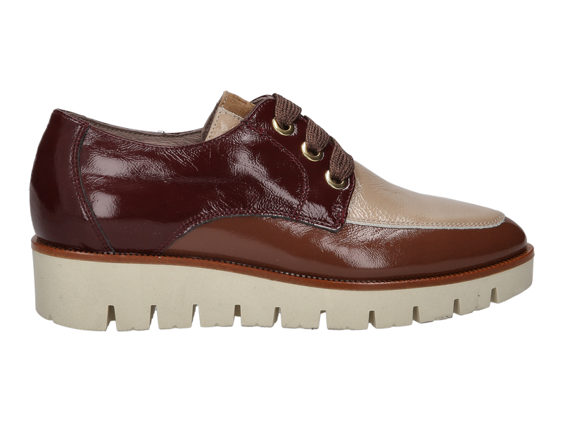 Dlsport Chaussures à Lacets Bronze