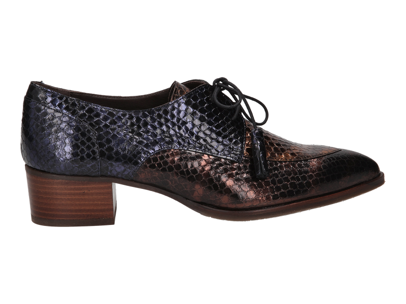Pertini Lace Shoes Brown