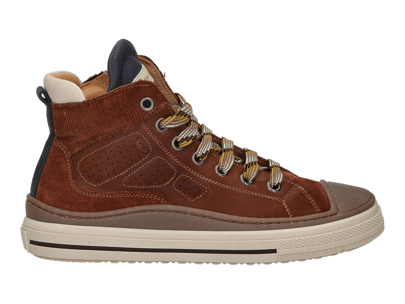 Zecchino D'oro Baskets Cognac