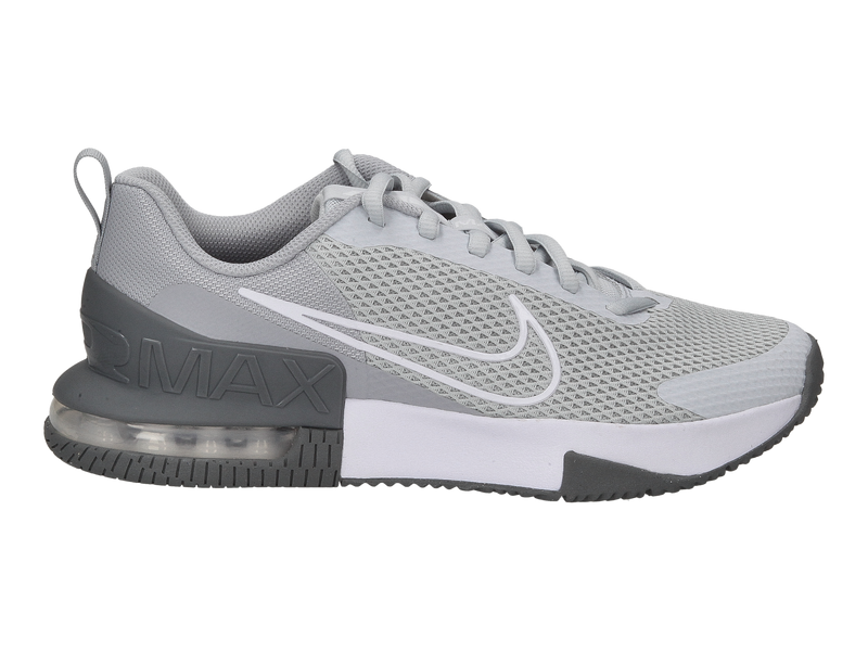 Nike Sneakers Gray