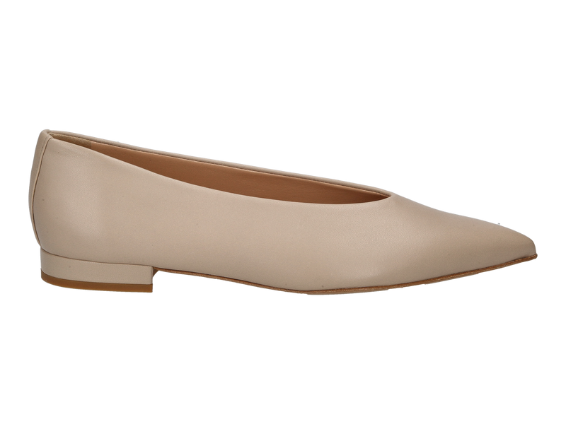 Guglielmo Rotta Ballerines Taupe