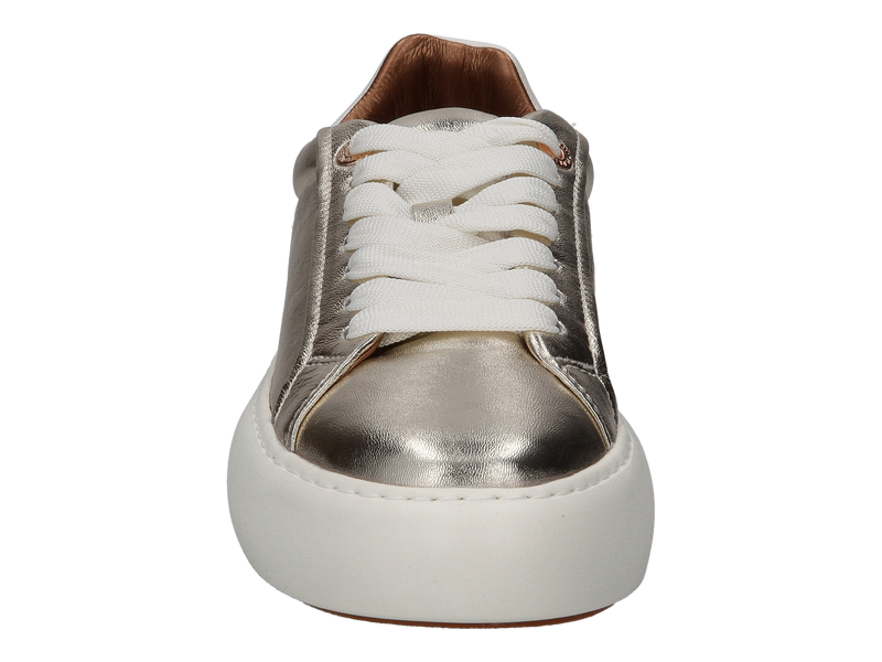 Alexander Smith Sneakers Gold