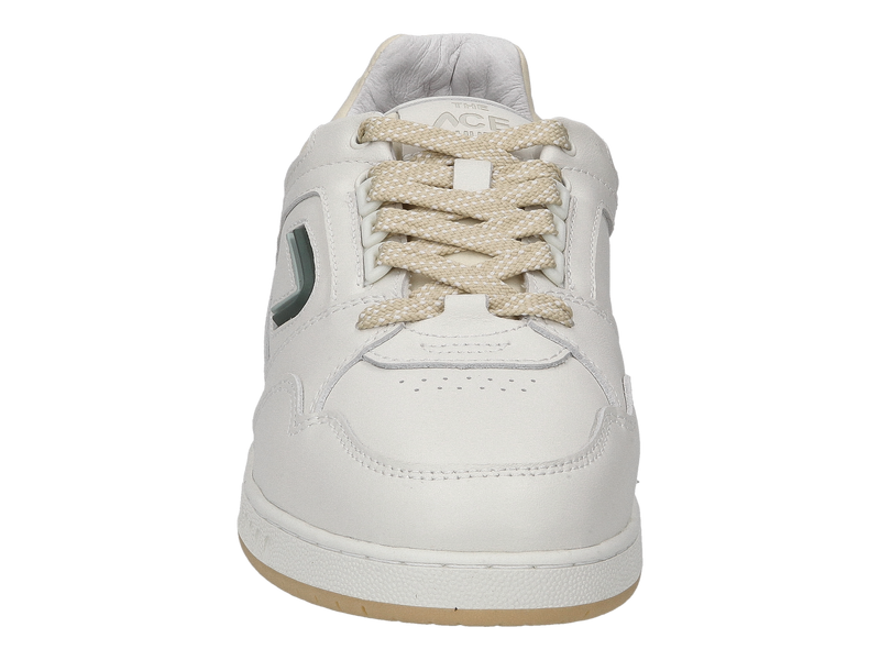 The Ace Hub Baskets Vert