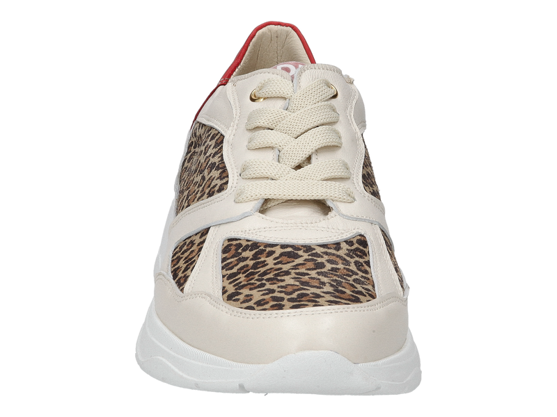 Dlsport Baskets Beige