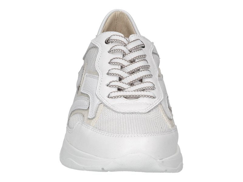 Dlsport Baskets Blanc