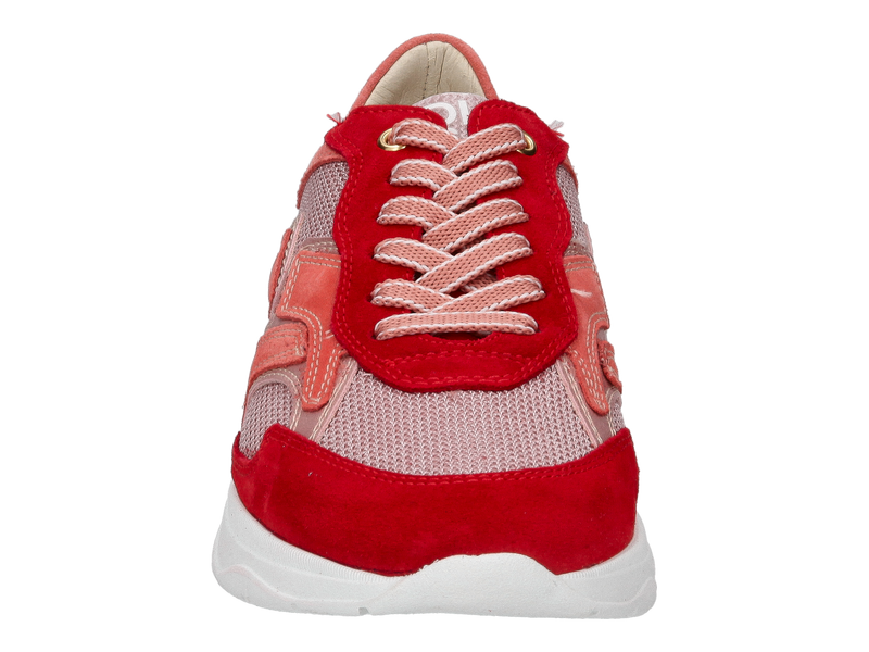 Dlsport Baskets Rouge