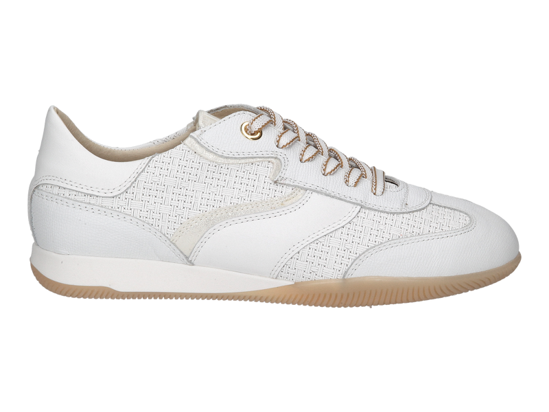 Dlsport Baskets Blanc