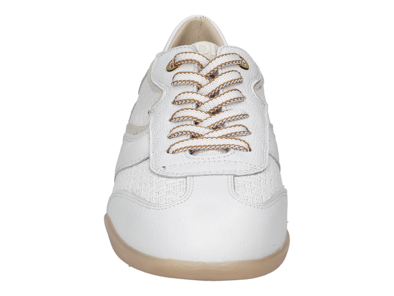 Dlsport Baskets Blanc