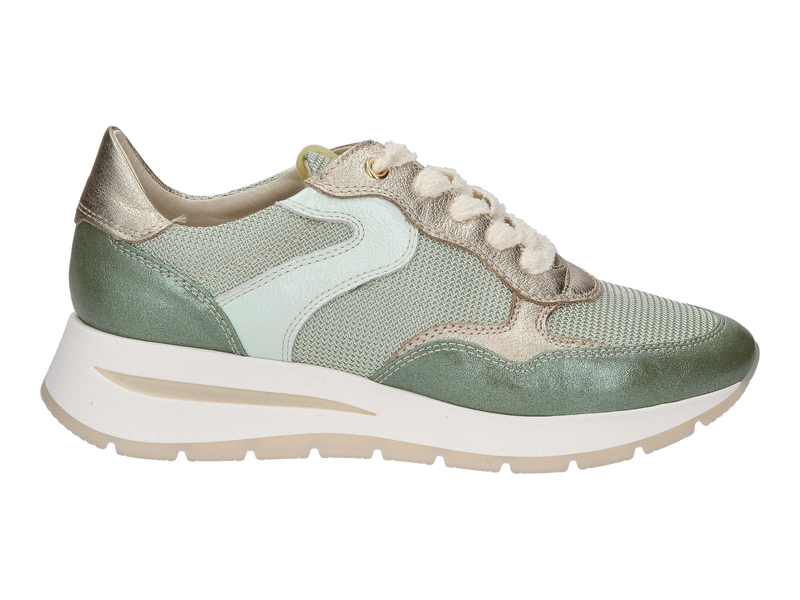 Dlsport Baskets Vert