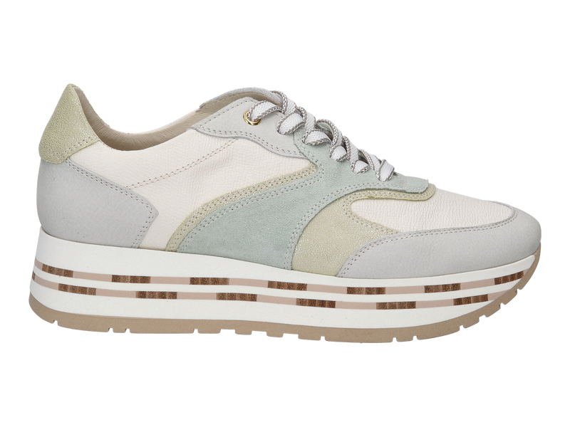 Dlsport Baskets Vert