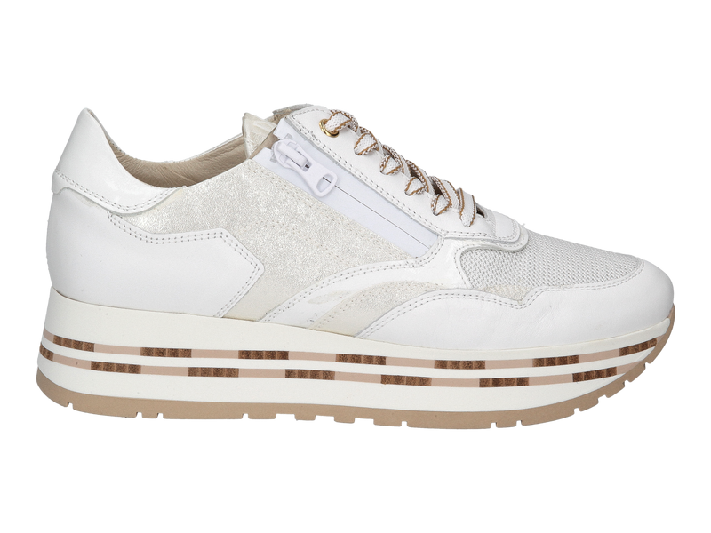 Dlsport Baskets Blanc