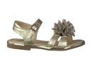 Zecchino D'oro sandals gold