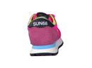Sun 68 baskets rose