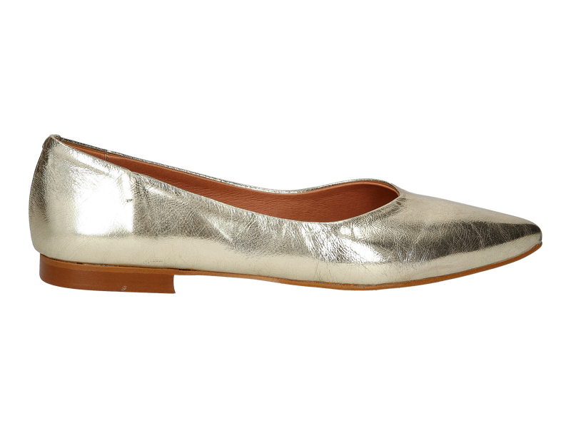 Belang Ballerinas Goud