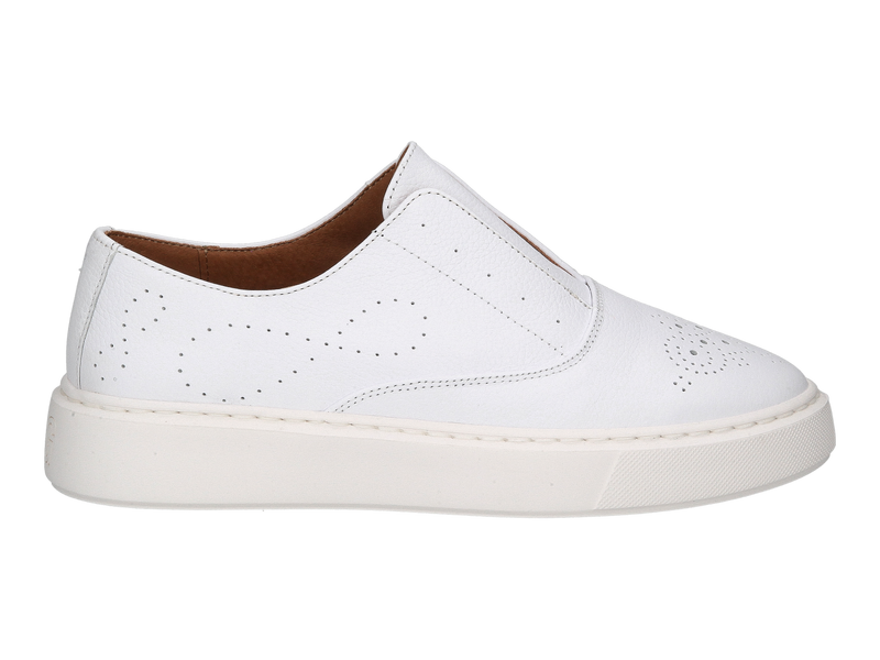 Belang Sneakers White