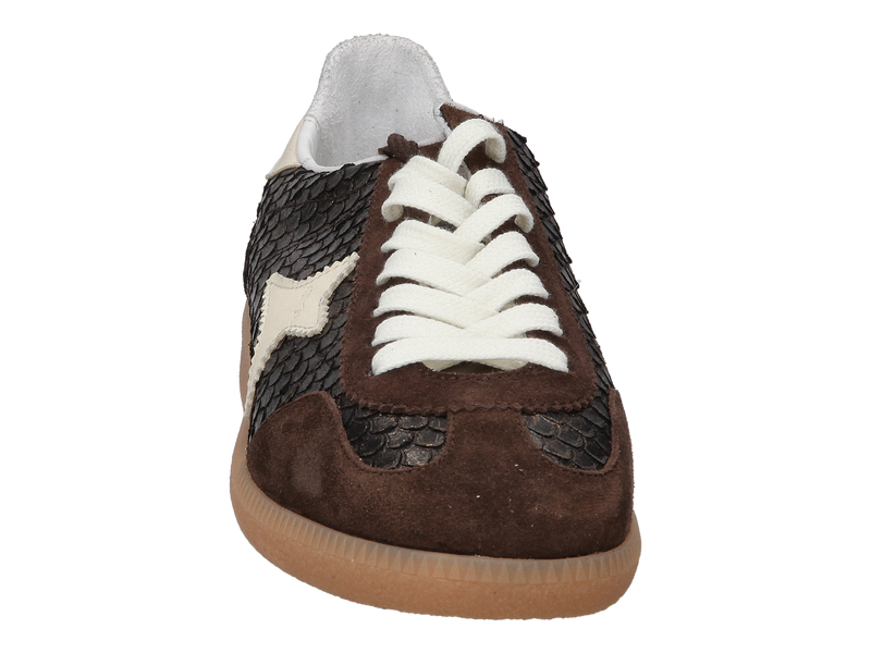 Ama Brand Sneakers Bruin