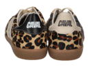 Caval sneaker luipaard