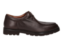 Ambiorix lace shoes brown