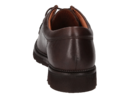Ambiorix lace shoes brown