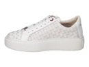 Alexander Smith London sneaker white
