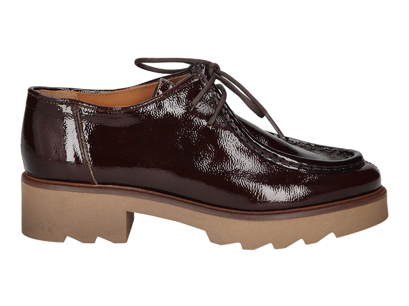 Ctwlk Lace Shoes Brown