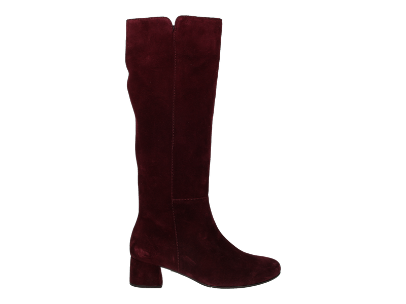Gabor Bottes Bordeaux