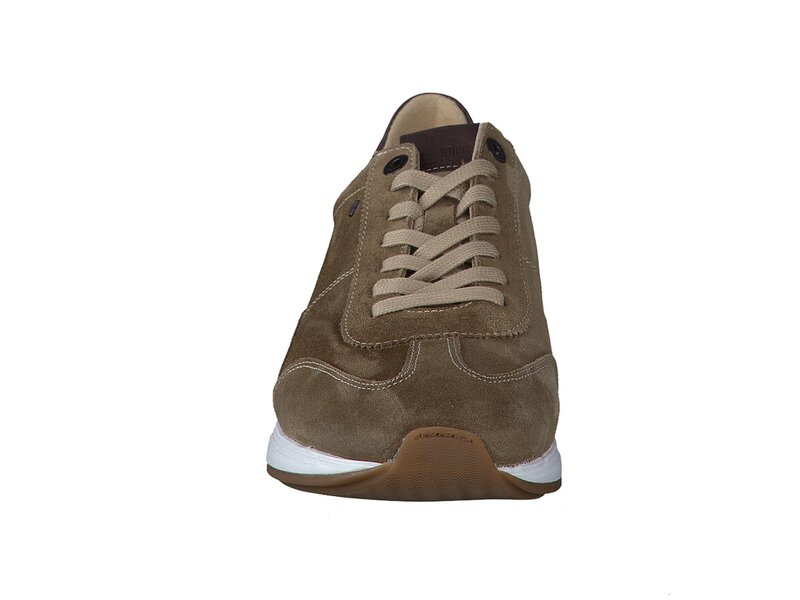 Van Bommel Sneakers Brown