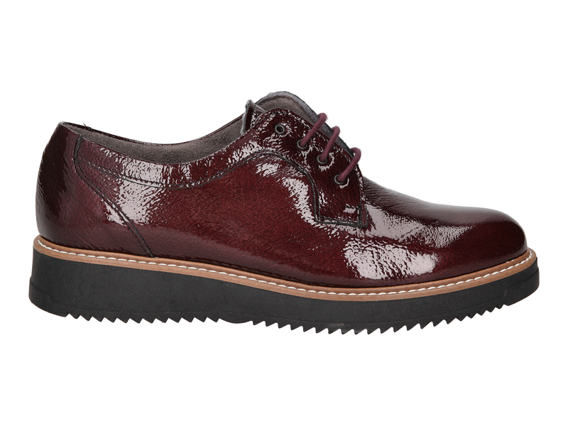 Pitillos Lace Shoes Bordeaux