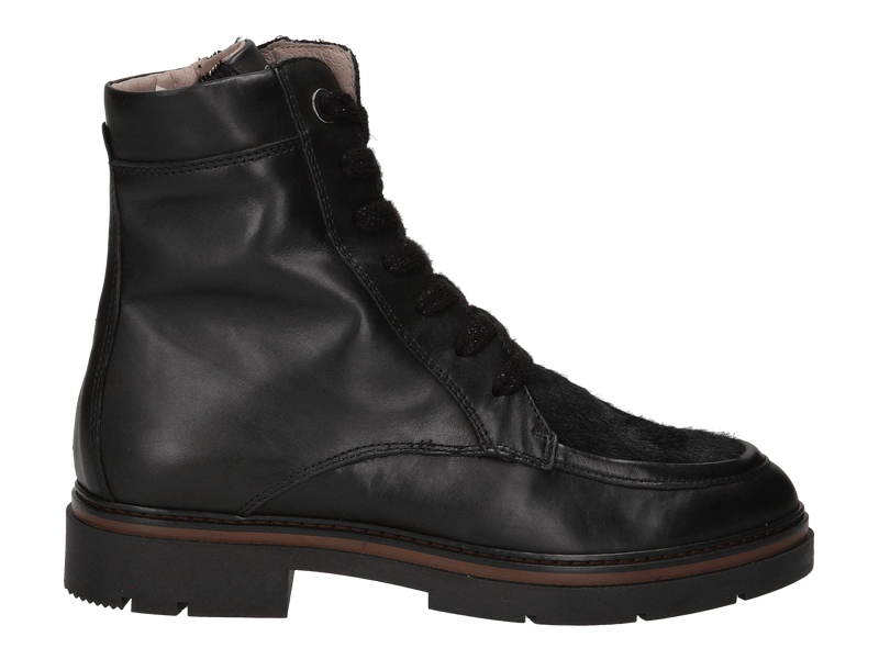 Dlsport Bottines Noir