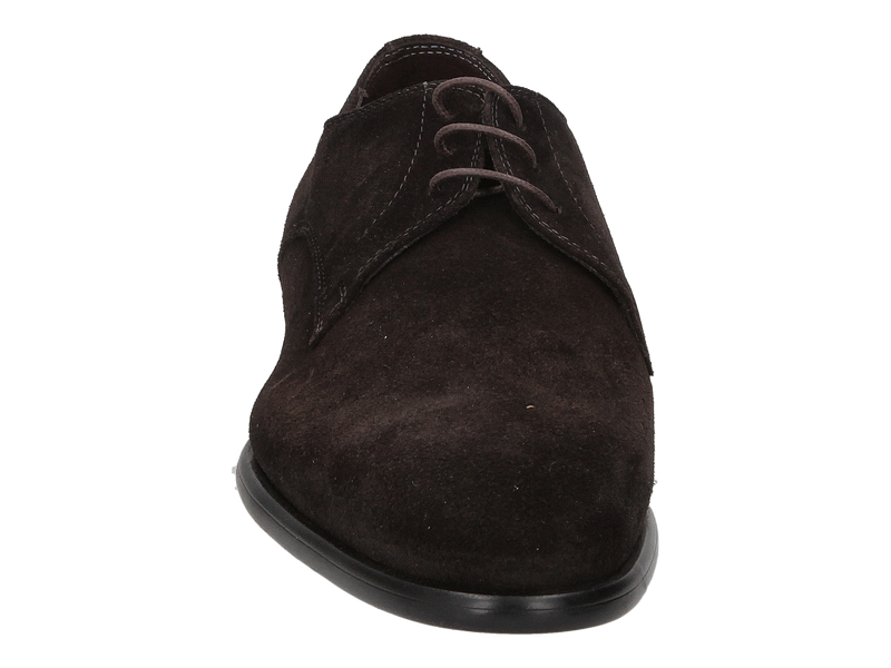 Giorgio Lace Shoes Brown