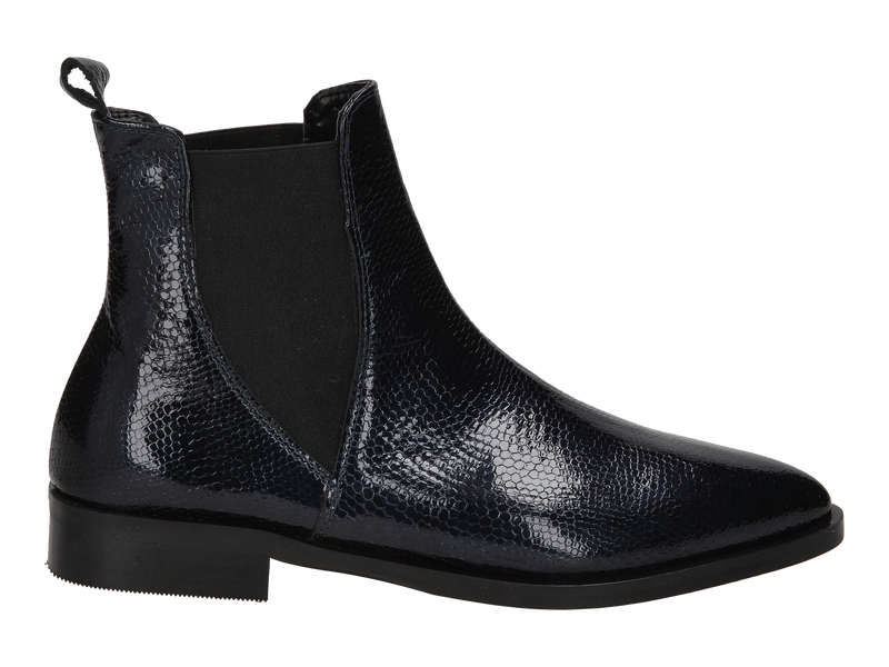 Gianluca Pisati Boots Blauw